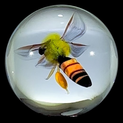 I’ve got two of these @davidgraeberartglass bees currently available. Click the link in the bio to catch one! #glass #art #glassart #millefiori #murrine #flamework #lampwork #paperweight #paperweights #marbles #bees #honeybee | The Paperweight Collection