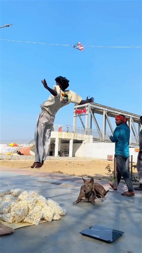 Dog🐶friendship speaks louder than words #viraljump #dogapparel #dogshorts #doglife #youtubeshorts