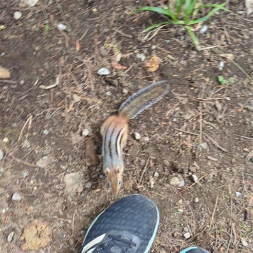 Pascal Cameron on Reels