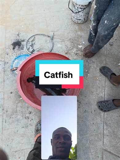 Catfish Farming Techniques: Learn from Experts