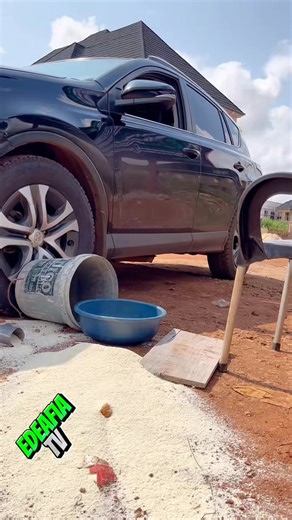 19K views · 193 reactions | Same blood, different nature. | BOMBA SHOCK | Facebook