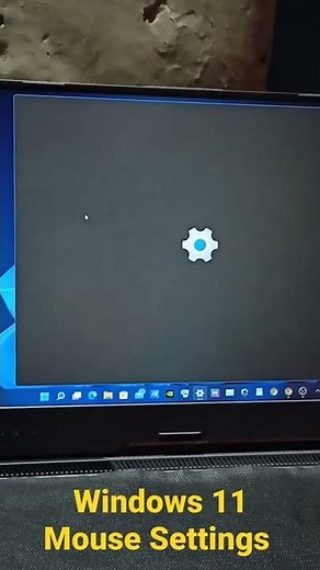 Windows 11 Mouse Settings