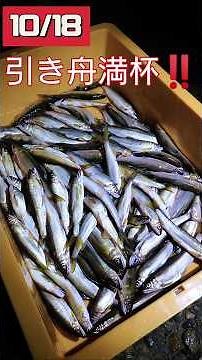 投網にて天然鮎大漁♪ ,アウトドア #天然ウナギ #那珂川