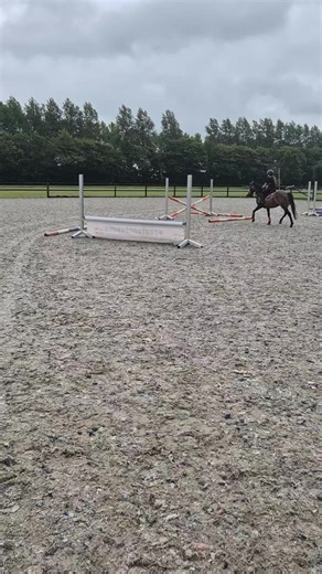 springles samen leren springen en groeien #springen #droompony #pony #paardenmeisje #equestrian #deleukstepony #horses #horse