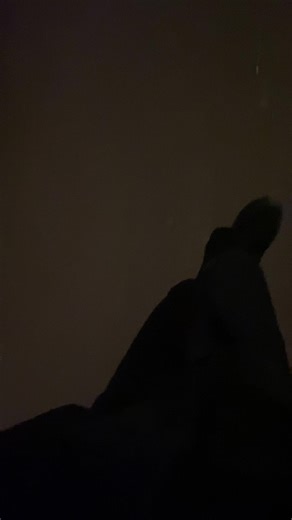 Vidéos de bichokvsumochkeanteater (@mosh_ebosh) avec еду такой еду - rvsul.boss