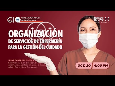 Organización de servicios de enfermería para la gestión del cuidado