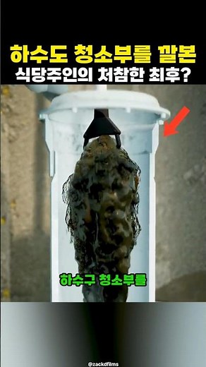 하수도 청소부를 절대 함부로 대하면 안되는 이유?