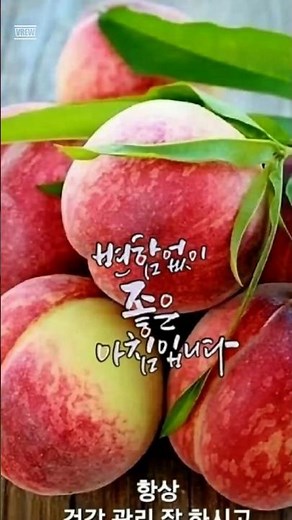 변함없이 하루를 여는 좋은 아침인사, #명언#아침#좋은글#아침인사#사랑#행복