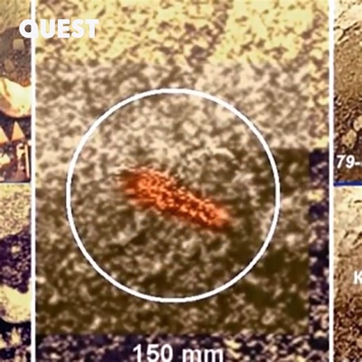Did the Soviets discover ALIEN scorpions on Venus? 🫨 #NASAsUnexplainedFiles | Quest