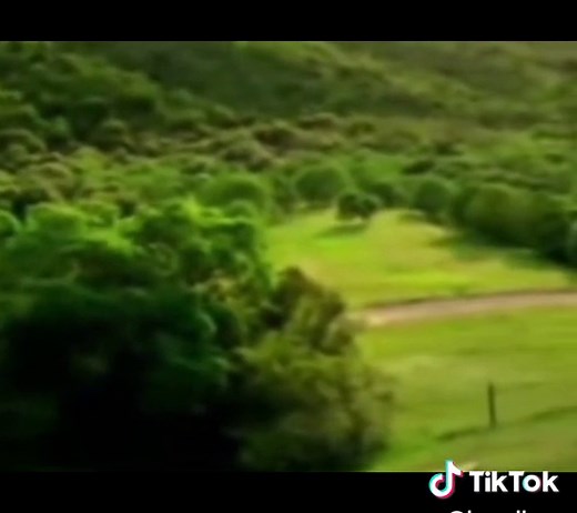 Scary Car Jump Scare Video Compilation