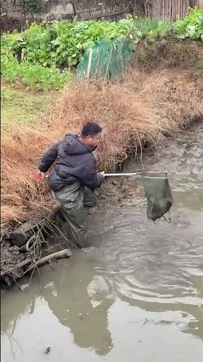 How to Use a Landing Net Correctly