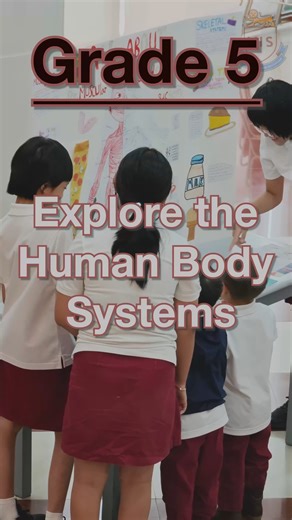 Yangon International School on Instagram: "🧠🫀 Grade 5 Human Body Projects Showcase! 🫁🦴 Our Grade 5 students proudly presented their individual Human Body projects, sharing the results of their research with students from different classes. Each student explored a specific body system and explained their findings with confidence, creativity, and enthusiasm. It was exciting and fascinating for everyone to learn more about how our bodies work through their detailed models and presentations. The
