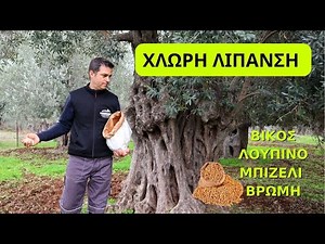 ΛΙΠΑΝΣΗ ΕΛΙΑΣ ΕΝΑΛΛΑΚΤΙΚΟΣ ΤΡΟΠΟΣ ΧΛΩΡΑΣ ΛΙΠΑΝΣΗΣ