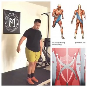 DVRT Ultimate Sandbag Training on Instagram: "Why are diagonal movement patterns so essential? Simply put, they align with how our bodies are designed to move. The spiral line of the body—a chain of muscles interconnected by fascia—runs from the arches of your feet, spirals across your body, and travels up to your head. This crisscrossing design connects your hips, core, and opposing shoulders, making diagonal patterns integral to functional movement. This connection isn’t just theoretical—it’s 