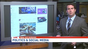 Staying informed but not overwhelmed by social media and politics