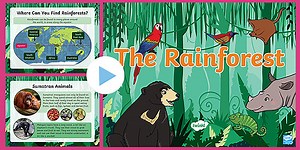 KS1 Rainforest Information PowerPoint