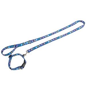 [Hot Item] New Fashion Colorful Metal Buckle Dogs Cats Pet Collars Leashes