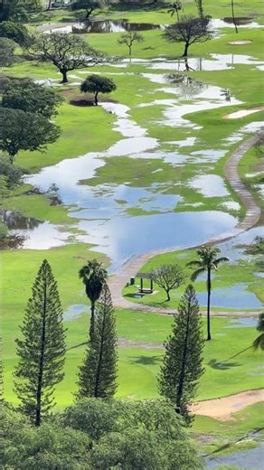 雨上がりのキラキラ✨アラワイの朝｜Ala Wai Golf Course Sparkling After Rain ✨ Honolulu