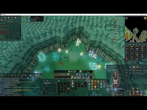 Runescape Quest 107 - A Fairy Tale II - Cure a Queen Ep1