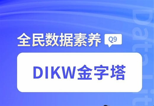 Q9---DIKW金字塔