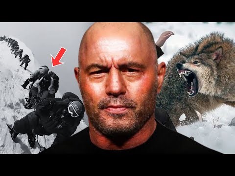 10 Most UNBELEVABLE Survival Stories told on Joe Rogan Podcast