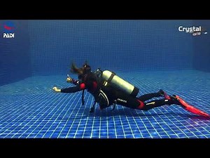 How to Get Neutral Buoyancy (Scuba Diving Skills) 🤿 PADI IDC Skills Dive