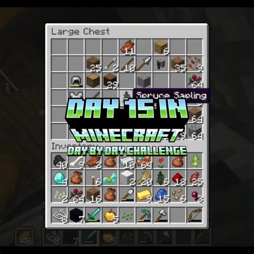 I am the Zoro of Minecraft? Episode 15 Day By Day: 100 Days in Minecraft #shorts