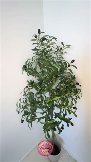 🌿 Envie de verdure sans contrainte ? Craque pour cet olivier artificiel ultra réaliste ✨ ✔️ Zéro gros entretien ✔️ Toujours vert, toute l’année ✔️ Parfait pour sublimer ton intérieur Que ce soit pour ton salon, ton bureau ou ta terrasse, il apporte une touche méditerranéenne chic en un clin d’œil. Adopte-le maintenant et transforme ton espace ! #deco #interieur #plantes #olivier #decorationmaison