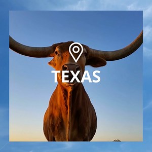 There’s more to Texas than dude ranches and line dancing. Big cities and outdoor fun can be found in the Prairies & Lakes region, while beaches and world-class museums await on the Gulf Coast.  With direct flights to Dallas Fort Worth, Austin and Houston taking about four hours from major Canadian cities, Texas is easy to experience. 鸞  Click here to see why the Lone State state shines: https://bit.ly/3Zgrogz | Travelzoo | Facebook