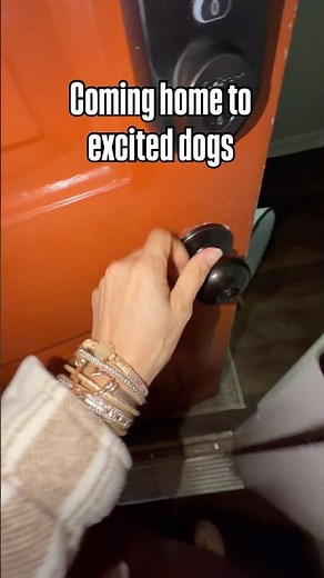 Coming home to excited dogs-read the description for more information