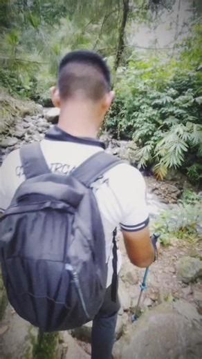 Understanding Date Filters in Modern Applications