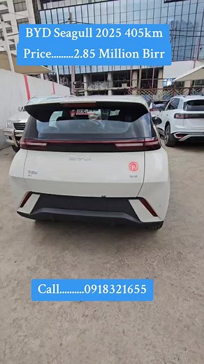 Discover BYD Seagull 2025 EV Features and Price