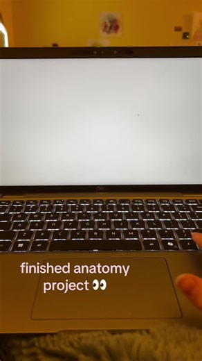 Finished Anatomy Project Showcase