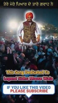 Tare Gwah Ne | Gurdas Maan x Sidhu Moosewala 🕊️ #shorts #TareGwahNe#SidhuMoosewala#GurdasMaan