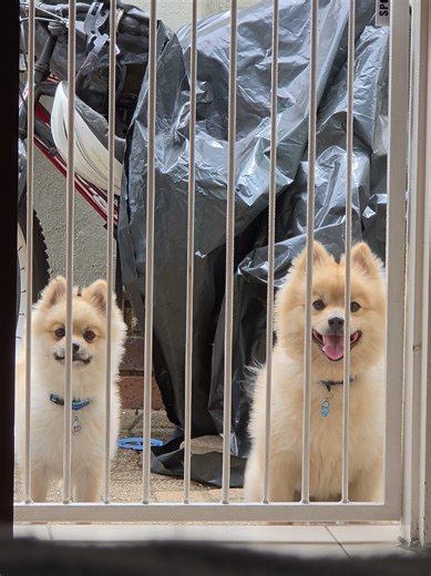 Grounded: Lessons Learned from Couch Playtime