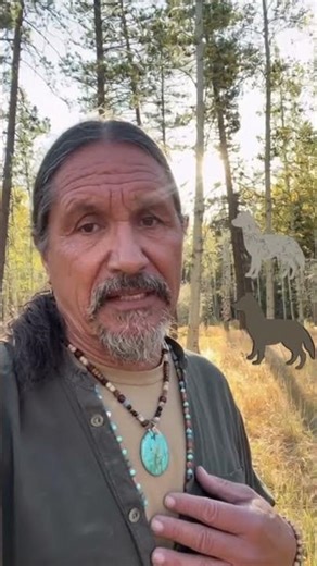 The Two Wolves Live Inside Us | Native American Explains #gowithnatives #nativeamerican #indigenous