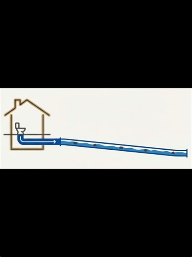 Understanding Toilet Failures and Sewage Issues