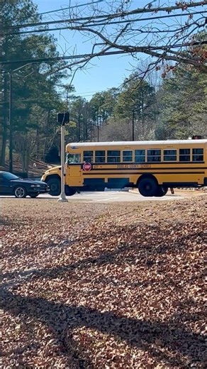 Bus 605 2019 bluebird vision with handicap♿️ gasoline