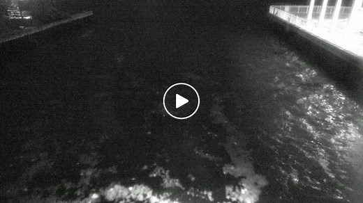 Manatee Lagoon Cam