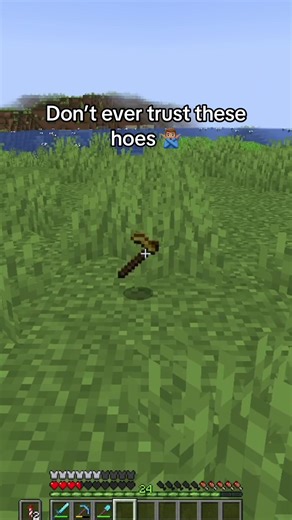 Never trust these hoes 🙅🏽‍♂️ #minecraft #fyp | minecraft