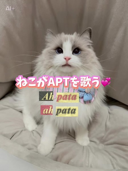 ねこがAPTを歌う💞#capcut口パク #ai加工 #リップシンクai #apt #aiテンプレート | ai generated song