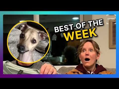 The Most Viral Videos This Week