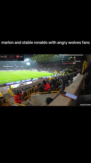 Excitement and Chaos Among Wolves Fans