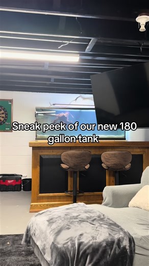 Setting Up Our New 180 Gallon Fish Tank
