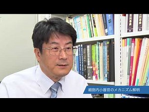 長浜バイオ大学研究紹介 Vol.1-4 林 誠先生