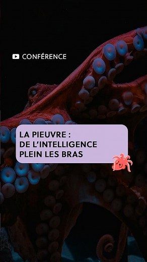 Imaginez goûter tout ce que vous touchez...