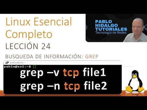 Complete Essential Linux | Lesson 24 | Information Search | grep