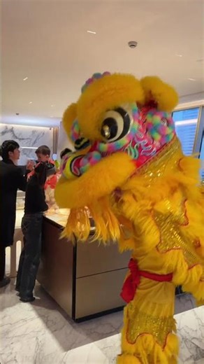 Unlucky Kids Unleash a Lion: Meet the Newcomers