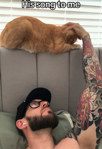 Don’t let him fool you… He loves it… I swear #cats #tabbycat #love #bossman