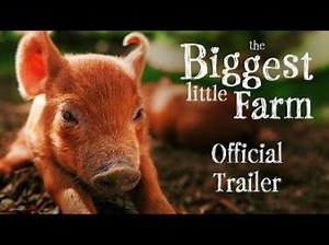 ‘Biggest Little Farm’ review: Riveting nature film is a pig deal